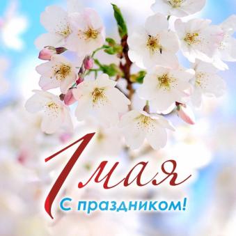 График работы на праздничные дни вмае
